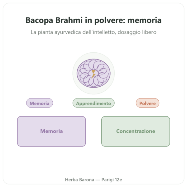Bacopa – Brahmi in polvere 150 g presentazione Paris Herba Barona