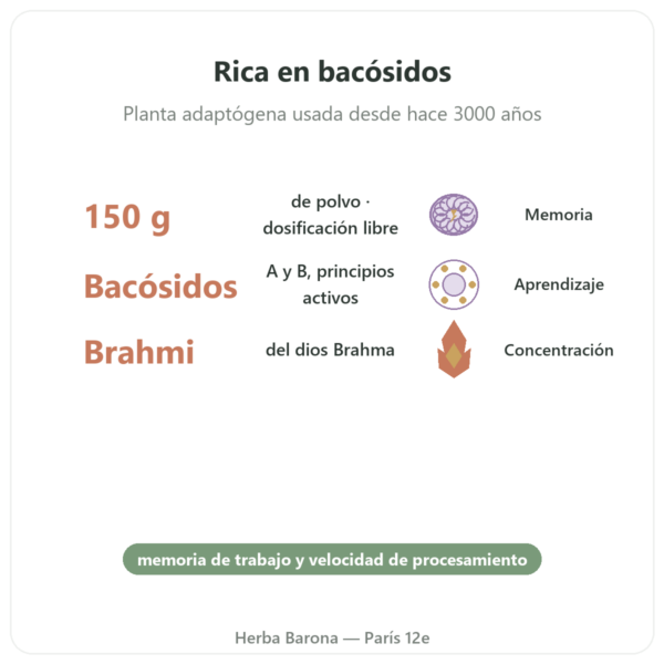Bacopa – Brahmi en Polvo – 150 g beneficios y datos clave Paris Herba Barona
