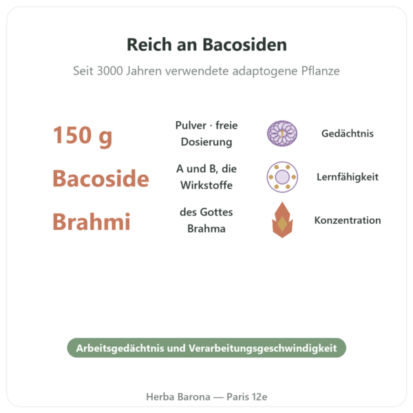 Bacopa (Brahmi) Pulver – 150 g Vorteile und Fakten Paris Herba Barona