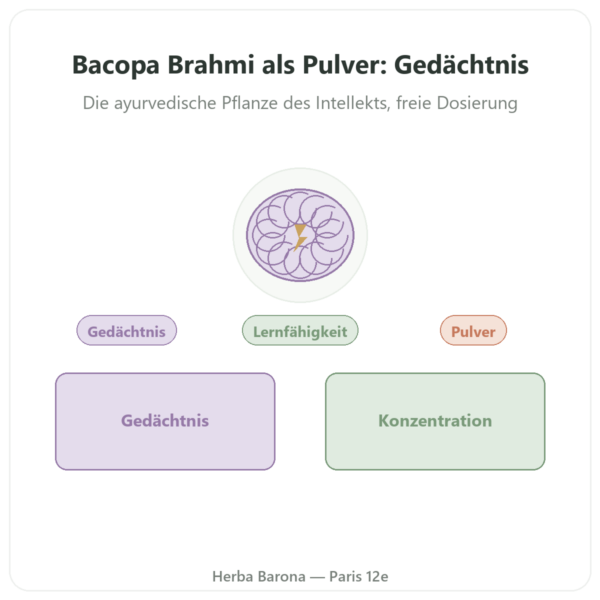 Bacopa (Brahmi) Pulver – 150 g Vorstellung Paris Herba Barona