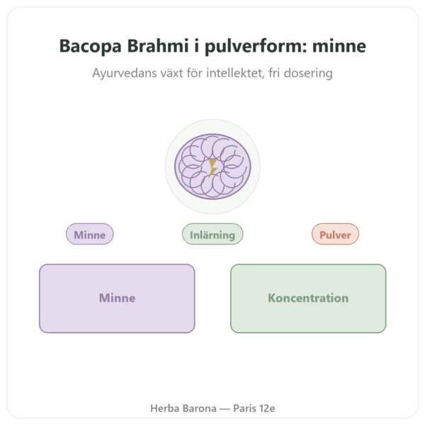 Bacopa – brahmi i pulverform 150 g presentation Paris Herba Barona