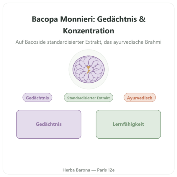Bacopa Monnieri (Bacoside) Extrakt – 60 Kapseln Vorstellung Paris Herba Barona
