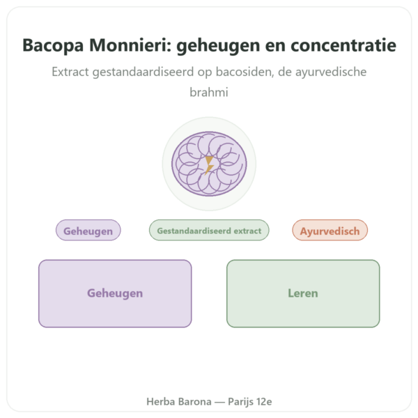 Bacopa Monnieri (bacosiden) Extract – Flacon van 60 capsules presentatie Paris Herba Barona