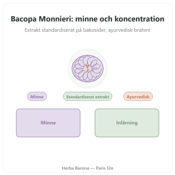 Bacopa Monnieri (bacosider) Extrakt – Flaska med 60 kapslar presentation Paris Herba Barona