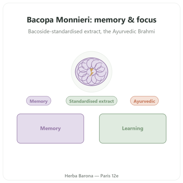 Bacopa Monnieri (Bacosides) Extract - 60 capsules presentation Paris Herba Barona