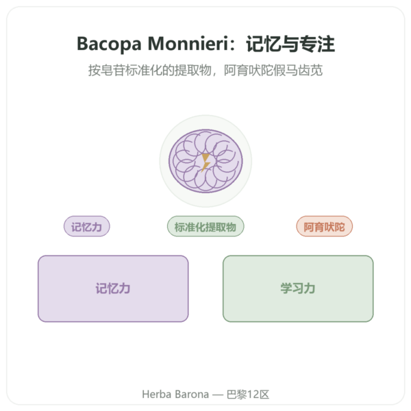 假马齿苋(假马齿苋皂苷)提取物 – 60 粒装 产品展示 Paris Herba Barona