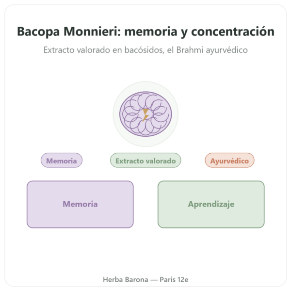 Bacopa Monnieri (Bacósidos) Extracto – Frasco de 60 Cápsulas presentación Paris Herba Barona