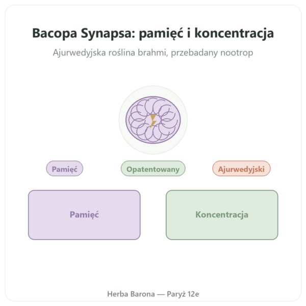 Bacopa Synapsa 320 mg 60 kapsułek w Paryżu prezentacja Paris Herba Barona