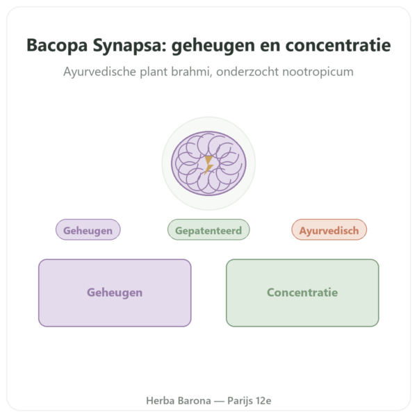 Bacopa Synapsa 320 mg 60 capsules Doctor's Best presentatie Paris Herba Barona