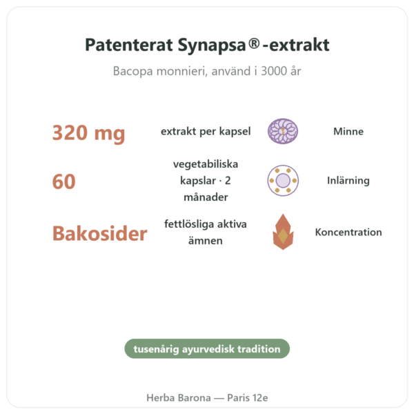 Bacopa Synapsa 320 mg 60 kapslar Doctor's Best fördelar och nyckelfakta Paris Herba Barona