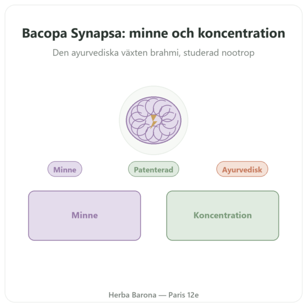 Bacopa Synapsa 320 mg 60 kapslar Doctor's Best presentation Paris Herba Barona