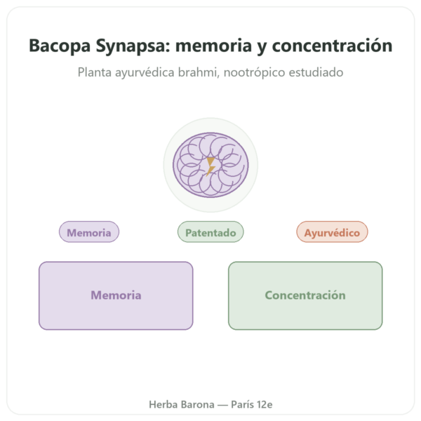 Bacopa con Synapsa 320 mg – 60 Cápsulas – Doctor's Best presentación Paris Herba Barona
