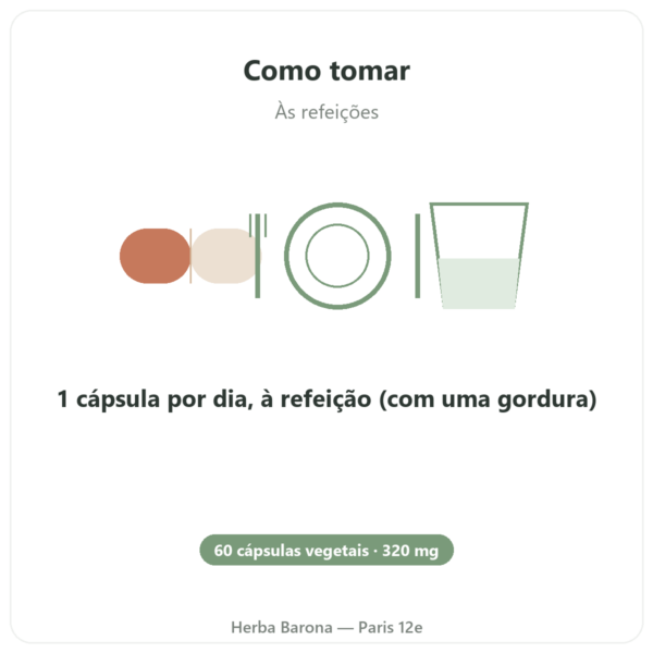 Bacopa Synapsa 320 mg – 60 Cápsulas – Doctor's Best – Comprar modo de uso e dosagem Paris Herba Barona