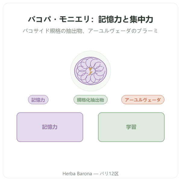 バコパモニエリ(バコサイド)エキス – 60カプセル入りボトル presentation Paris Herba Barona