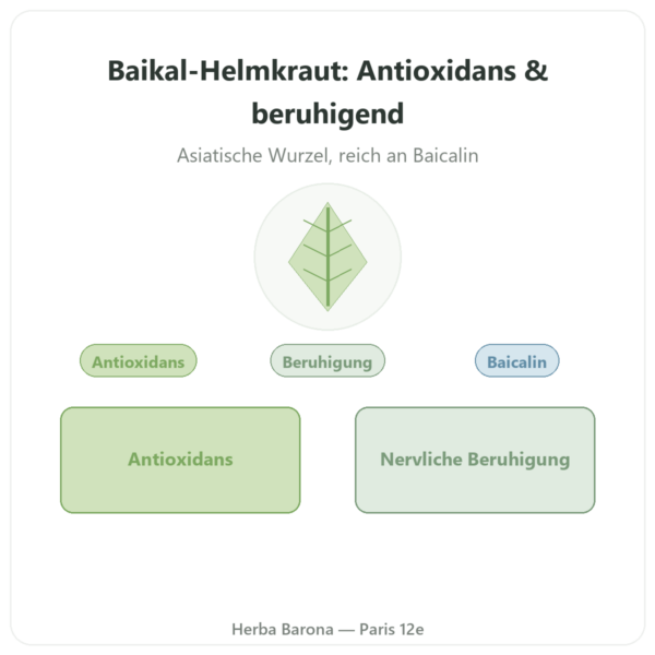Baikal-Helmkraut Scutellaria baicalensis – Dynveo – 60 Kapseln Vorstellung Paris Herba Barona