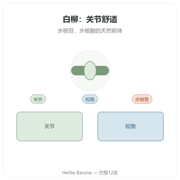 白柳树皮提取物 – Dynveo – 60粒胶囊 产品展示 Paris Herba Barona