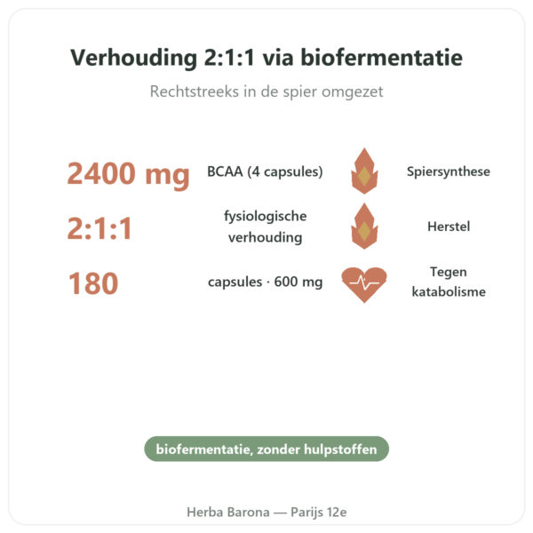 BCAA 2:1:1 – Dynveo – 180 capsules 600mg voordelen en kerngegevens Paris Herba Barona