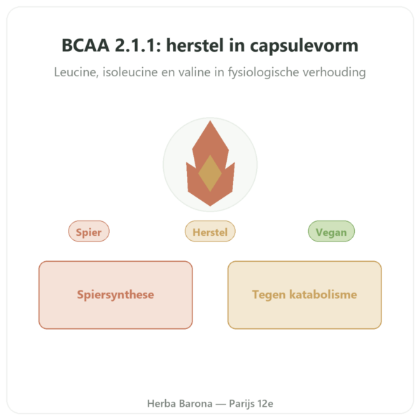 BCAA 2:1:1 – Dynveo – 180 capsules 600mg presentatie Paris Herba Barona