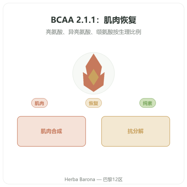 BCAA 2.1.1 – Dynveo – 粉末 200 g 产品展示 Paris Herba Barona
