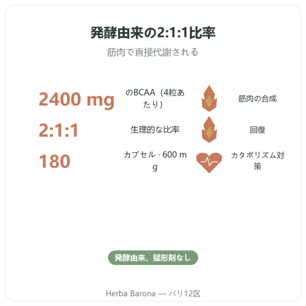 BCAA 2.1.1 – Dynveo – 180カプセル 600mg benefits and key facts Paris Herba Barona