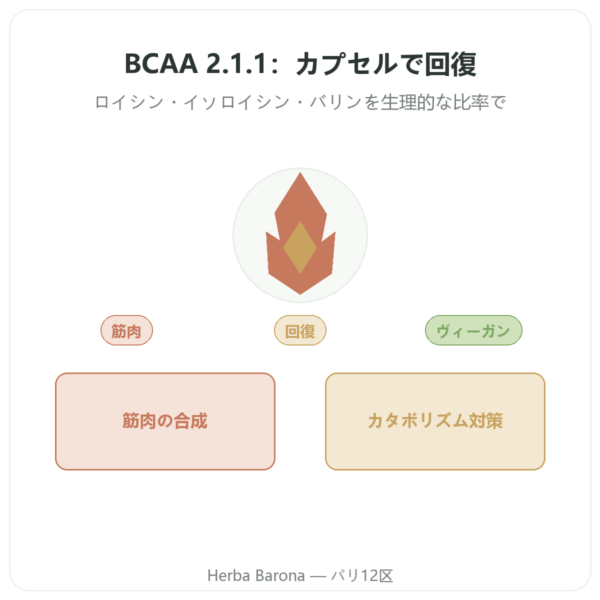 BCAA 2.1.1 – Dynveo – 180カプセル 600mg presentation Paris Herba Barona