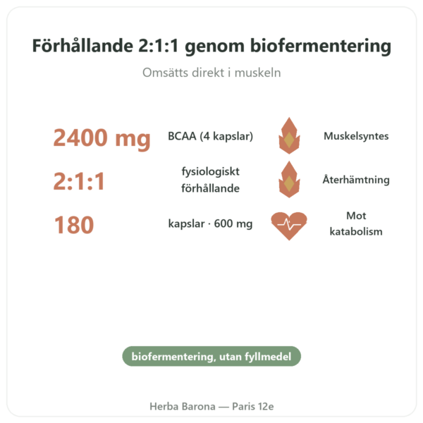 BCAA 2.1.1 – Dynveo – 180 kapslar 600 mg fördelar och nyckelfakta Paris Herba Barona