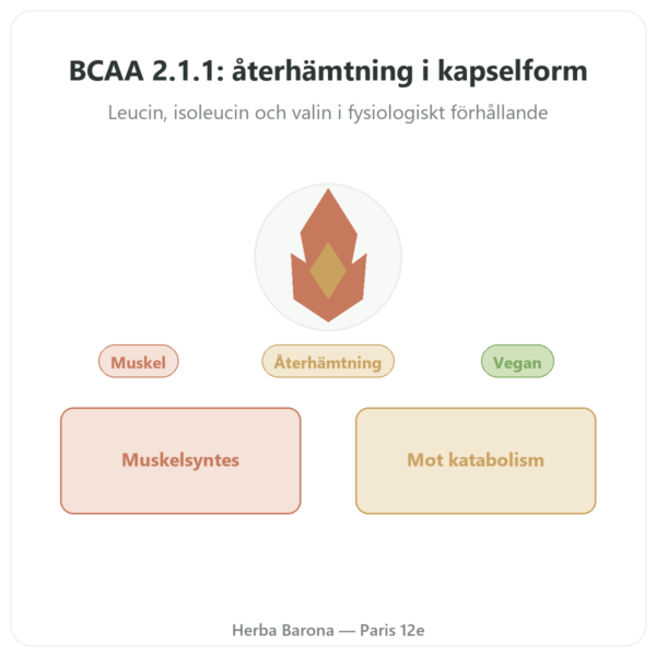 BCAA 2.1.1 – Dynveo – 180 kapslar 600 mg presentation Paris Herba Barona