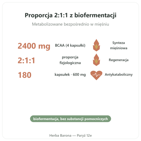 BCAA 2.1.1 – Dynveo – 180 kapsułek 600mg korzyści i najważniejsze fakty Paris Herba Barona