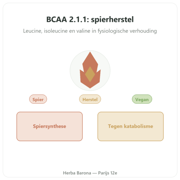 BCAA 2:1:1 – Dynveo – poeder 200 g presentatie Paris Herba Barona