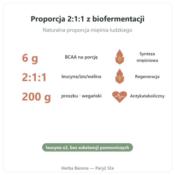 BCAA 2.1.1 – Dynveo – proszek 200 g korzyści i najważniejsze fakty Paris Herba Barona