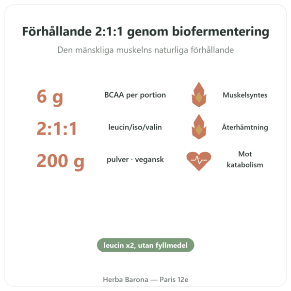 BCAA 2.1.1 – Dynveo – pulver 200 g fördelar och nyckelfakta Paris Herba Barona