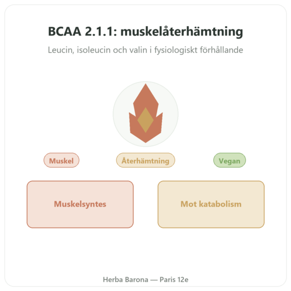 BCAA 2.1.1 – Dynveo – pulver 200 g presentation Paris Herba Barona