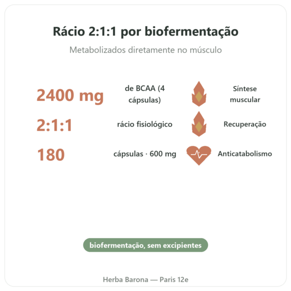 BCAA 2.1.1 – Dynveo – 180 cápsulas 600mg benefícios e dados principais Paris Herba Barona