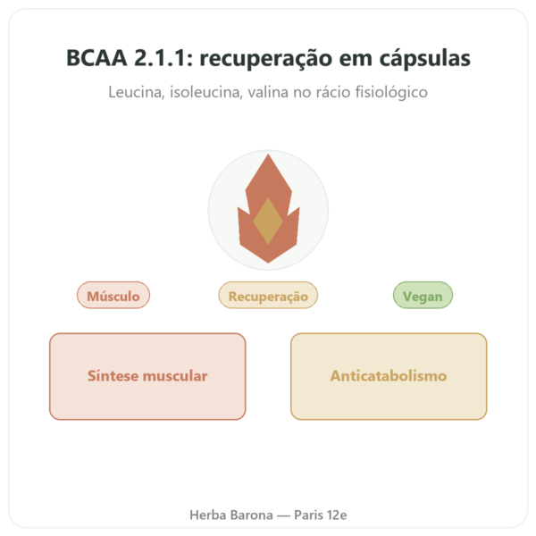 BCAA 2.1.1 – Dynveo – 180 cápsulas 600mg apresentação Paris Herba Barona