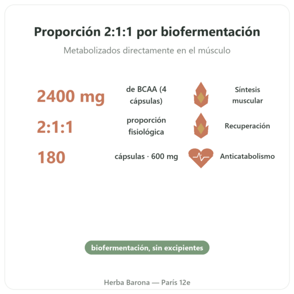BCAA 2.1.1 – Dynveo – 180 cápsulas 600mg beneficios y datos clave Paris Herba Barona