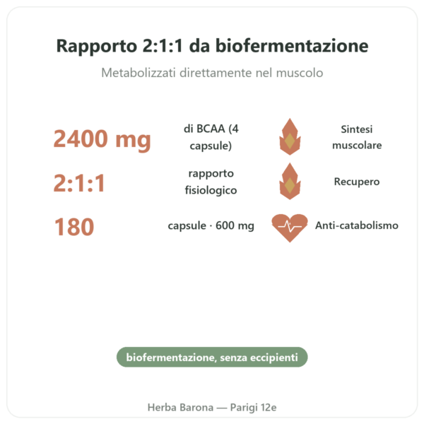 BCAA 2.1.1 – Dynveo – 180 capsule 600mg benefici e dati chiave Paris Herba Barona