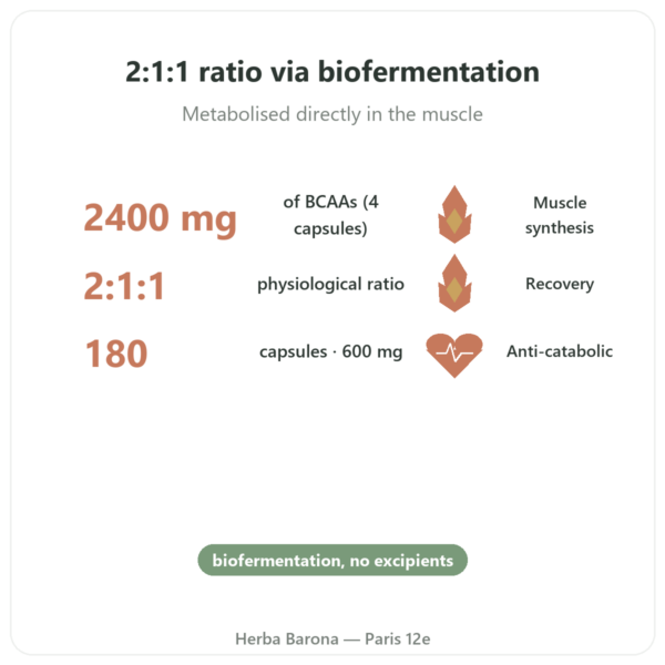 BCAA 2:1:1 - Dynveo - 180 capsules 600mg benefits and key facts Paris Herba Barona