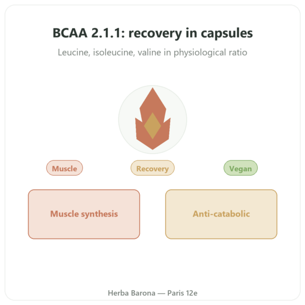 BCAA 2:1:1 - Dynveo - 180 capsules 600mg presentation Paris Herba Barona