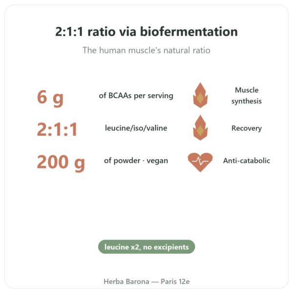 BCAA 2:1:1 - Dynveo - Powder 200g benefits and key facts Paris Herba Barona