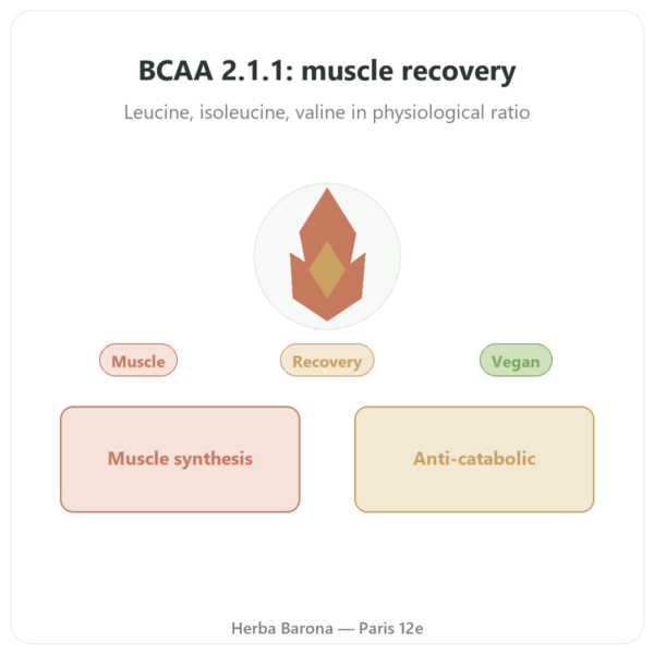 BCAA 2:1:1 - Dynveo - Powder 200g presentation Paris Herba Barona