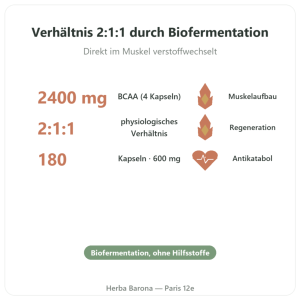 BCAA 2:1:1 – Dynveo – 180 Kapseln – 600 mg Vorteile und Fakten Paris Herba Barona