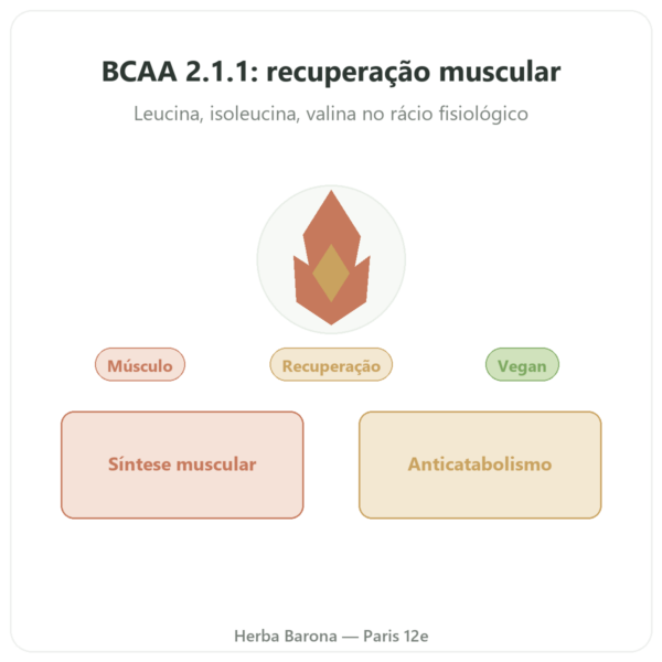 BCAA 2.1.1 – Dynveo – pó 200 g apresentação Paris Herba Barona