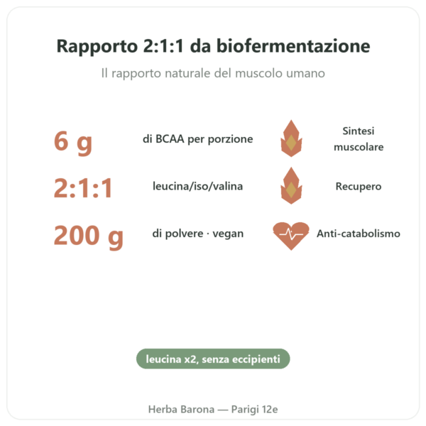 BCAA 2.1.1 – Dynveo – polvere 200 g benefici e dati chiave Paris Herba Barona