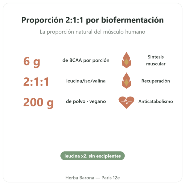 BCAA 2.1.1 – Dynveo – polvo 200 g beneficios y datos clave Paris Herba Barona