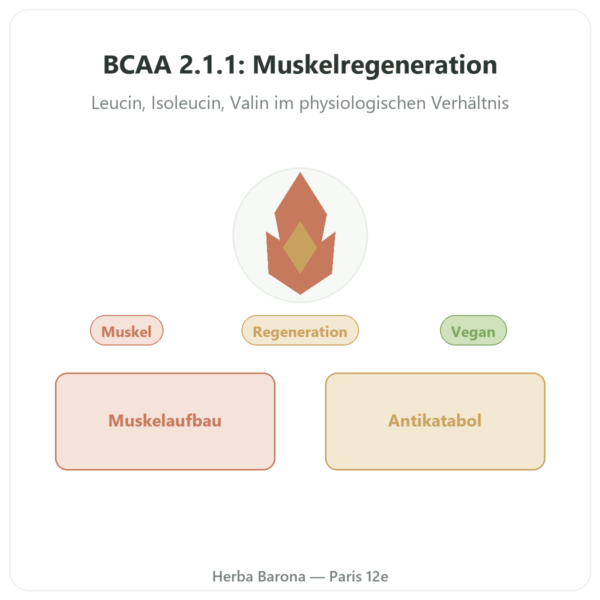 BCAA 2:1:1 Pulver 200 g – Dynveo Vorstellung Paris Herba Barona
