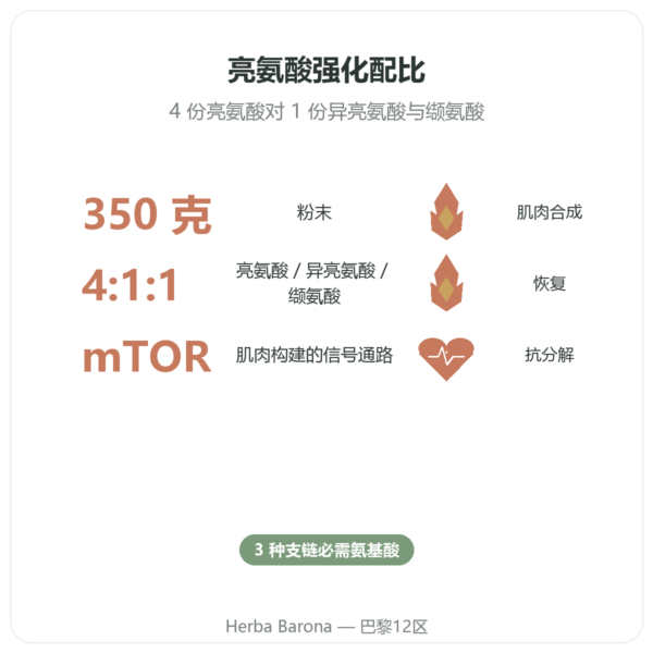 Nutrimuscle BCAA 4:1:1 粉末 350克 功效与数据 Paris Herba Barona