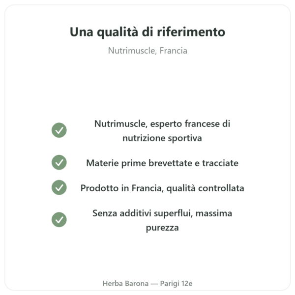 BCAA 4:1:1 in Polvere 350g – Nutrimuscle qualità Paris Herba Barona