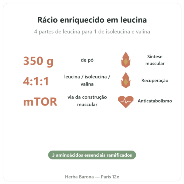 BCAA 4:1:1 em Pó 350g – Nutrimuscle benefícios e dados principais Paris Herba Barona