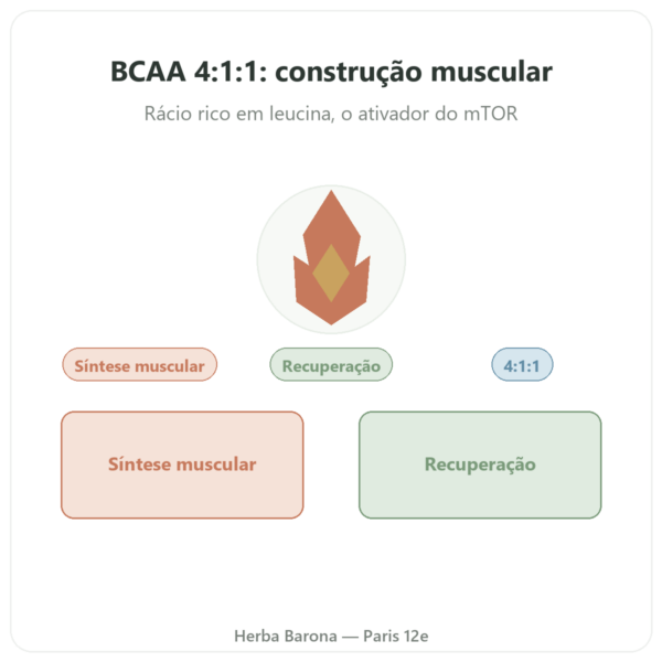 BCAA 4:1:1 em Pó 350g – Nutrimuscle apresentação Paris Herba Barona