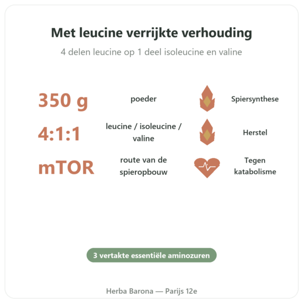 BCAA 4:1:1 Poeder 350g - Nutrimuscle voordelen en kerngegevens Paris Herba Barona